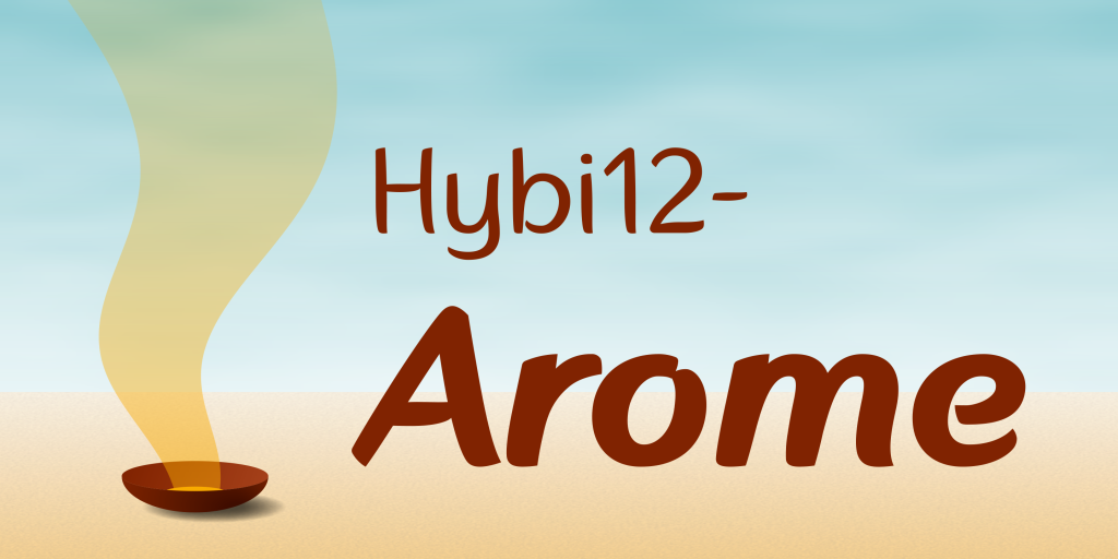Hybi12-Arome